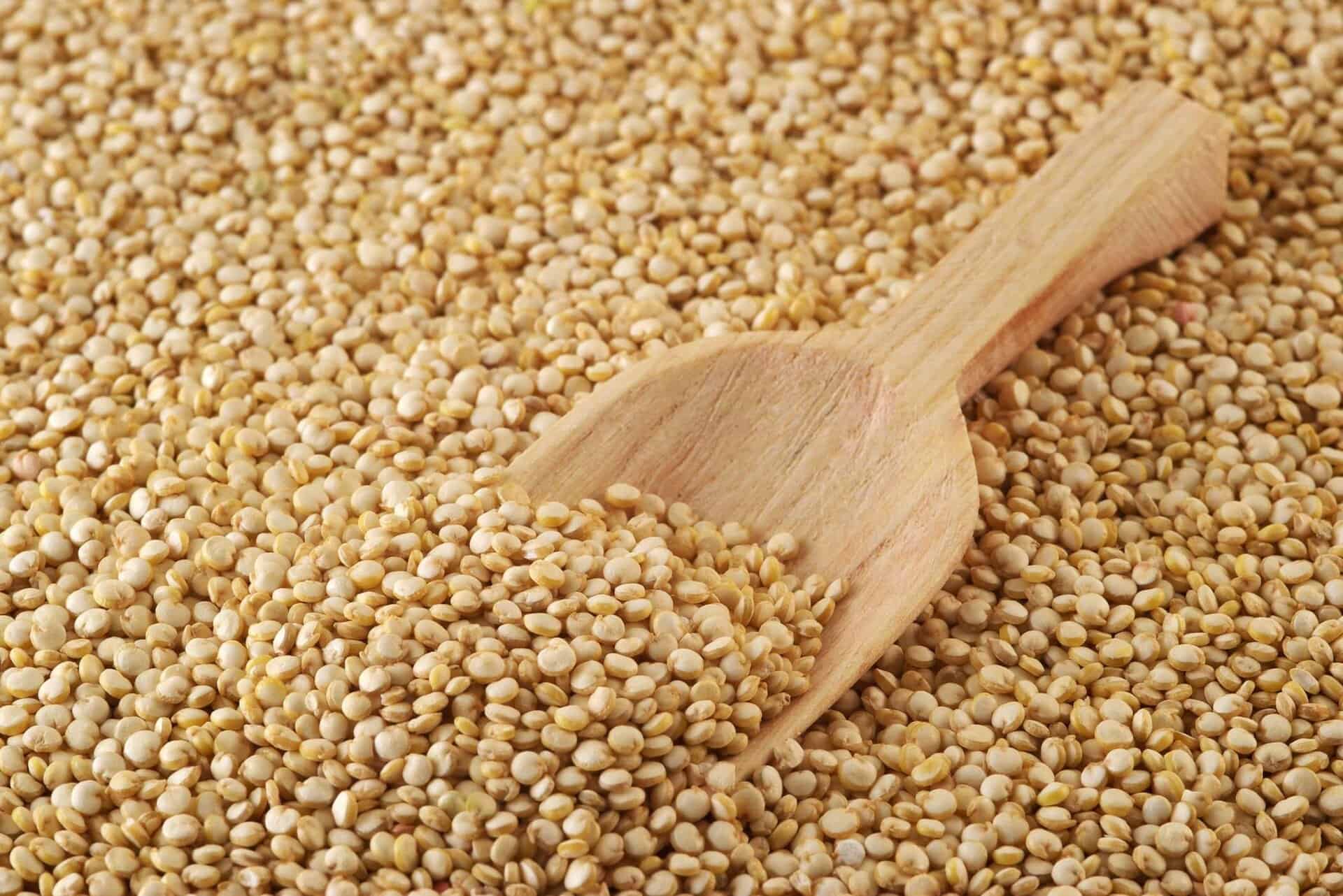 Quinoapoo The Complete Nutrition Benefits Of Plant Protein” :Quinoa Quest ...